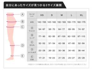 ベルシアーリブ　サイズ表